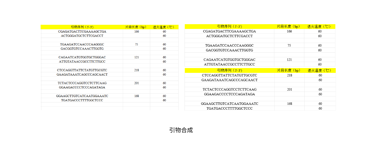 引物合成 (2).png