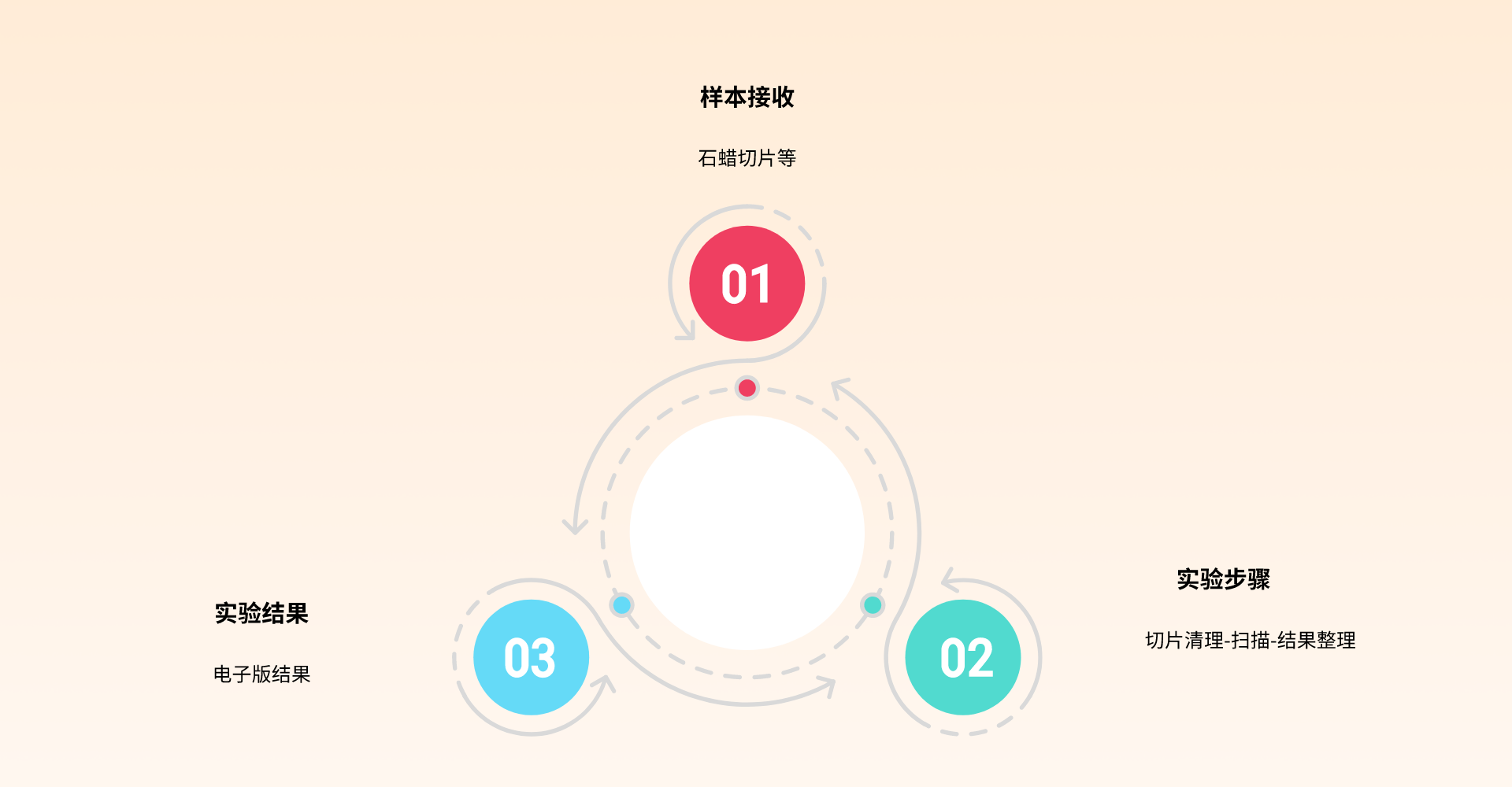 多层扫描（高尔基染色片）.png