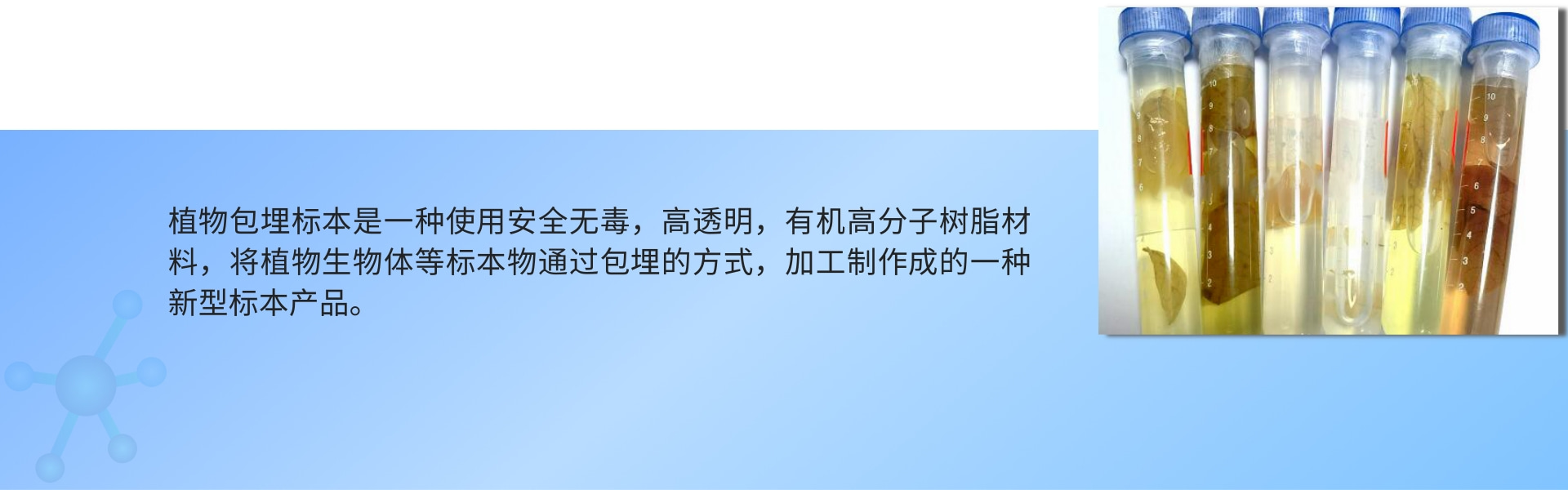 1691485994147441.jpg 植物包埋标本.jpg