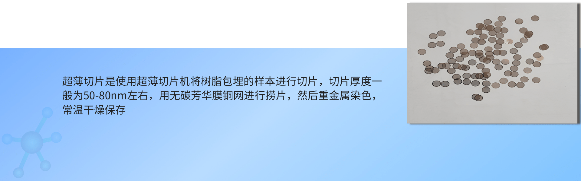 1691486518266716.png 超薄切片(透射电镜) (1).png