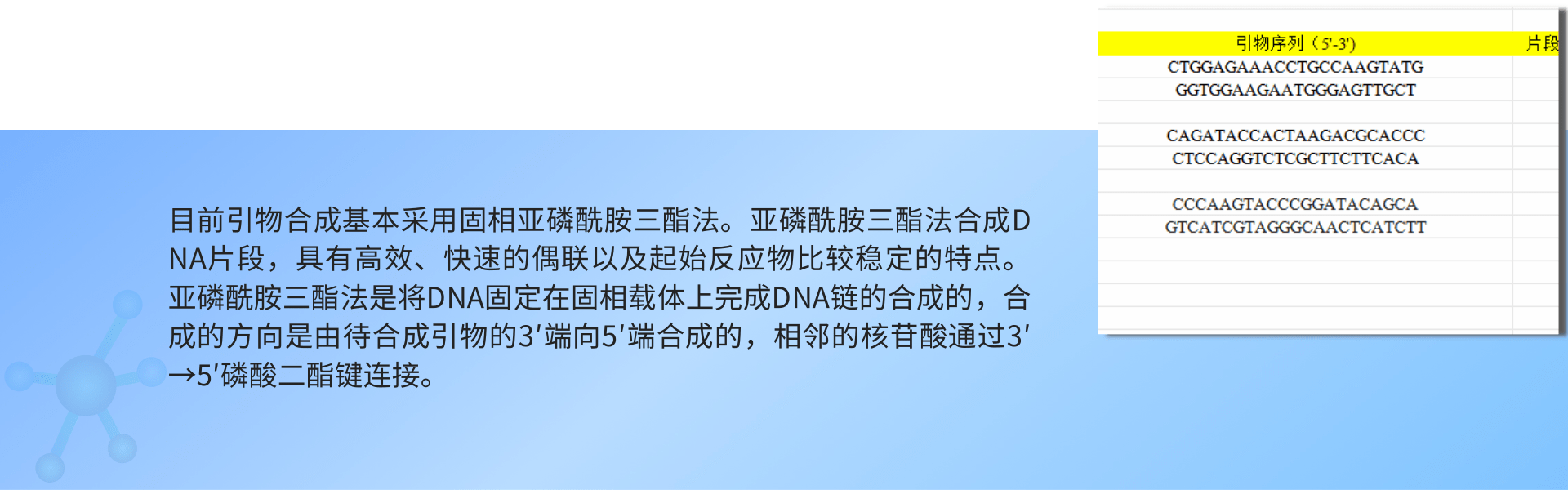 引物合成.png
