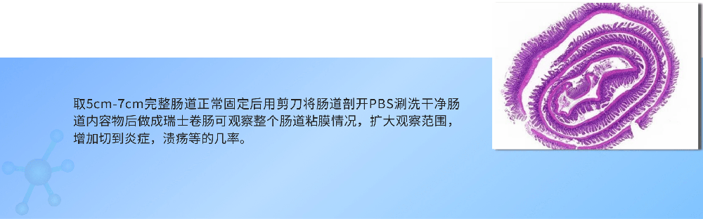 1692155593106864.png