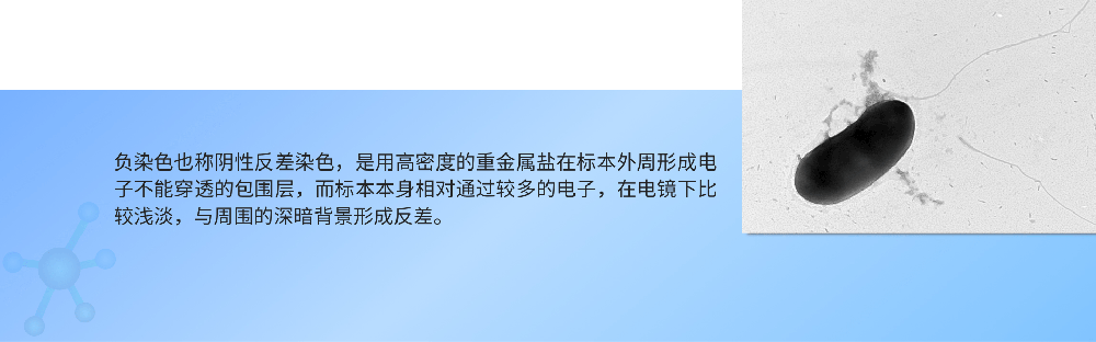1692255530685790.png