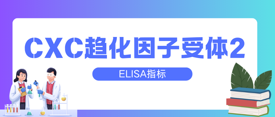 CXC趋化因子受体2（CXCR2）|ELISA指标