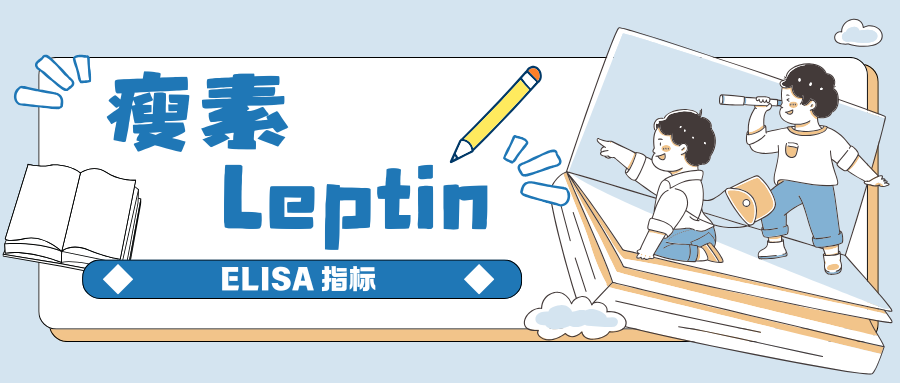 瘦素(Leptin)|ELISA指标