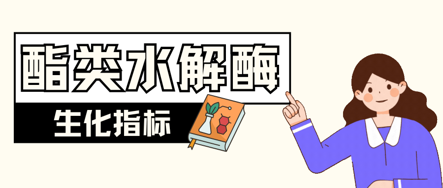 酯类水解酶系列|生化指标