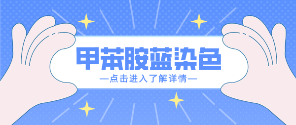 甲苯胺蓝染色（蛋白质染色）