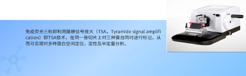 1750734175168702.png