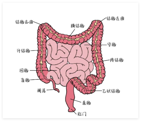 1760154110941465.png QQ_1760154107679.png