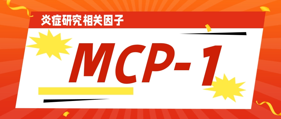 炎症研究相关因子之MCP-1
