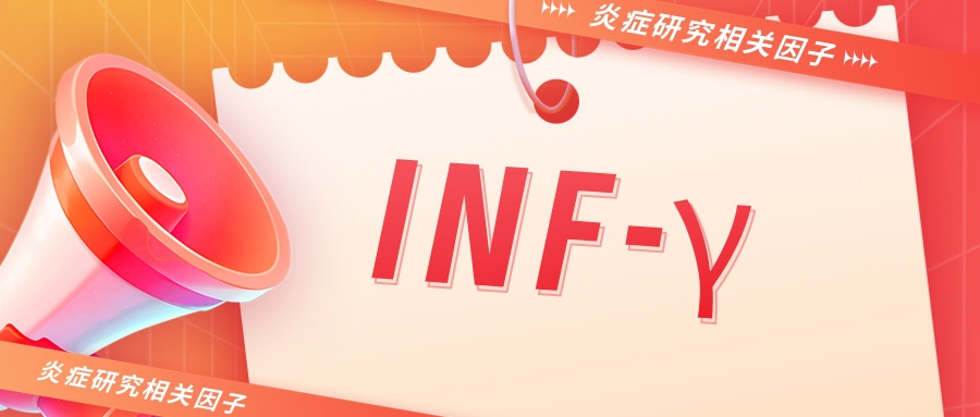 炎症研究相关因子之INF-γ
