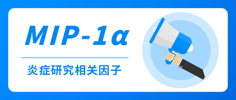 炎症研究相关因子之MIP-1α