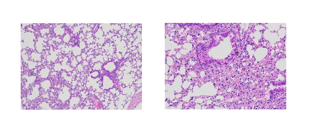 1764235524277196.jpg HE.jpg