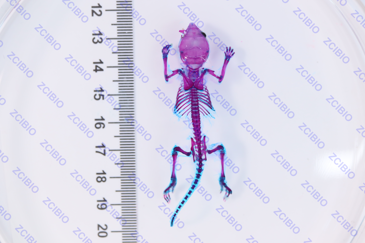 1770686656129850.png 1770686656129850.png